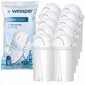 Wessper AquaClassic, 10 gab. цена и информация | Ūdens filtri | 220.lv