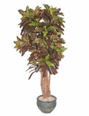 Mākslīgais augs Croton 170cm cena un informācija | Mākslīgie ziedi | 220.lv