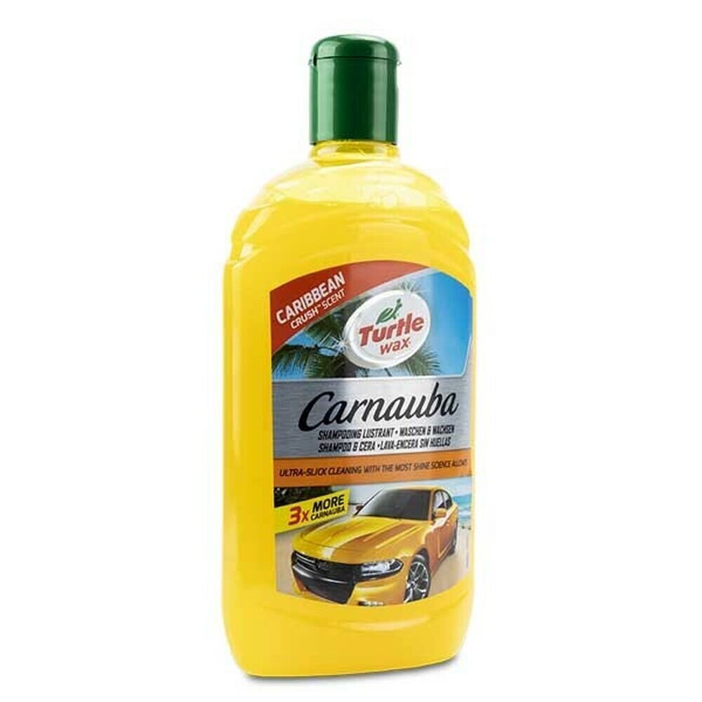 Automašīnas šampūns 500 ml cena un informācija | Auto ķīmija | 220.lv
