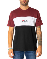 Мужская футболка Fila BFNG305762 цена и информация | Мужские футболки | 220.lv