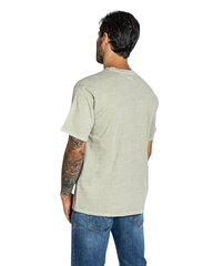 T-krekls vīriešiem Levi's BFN G 319398, zaļš cena un informācija | Vīriešu T-krekli | 220.lv