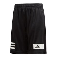Спортивные шорты для мальчиков Adidas Climacool TR Short Junior DV1363 цена и информация | Шорты для мальчиков | 220.lv