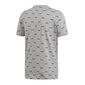 Sporta T-krekls zēniem Adidas Core Fav Tee M EI6280 cena un informācija | Zēnu krekli | 220.lv