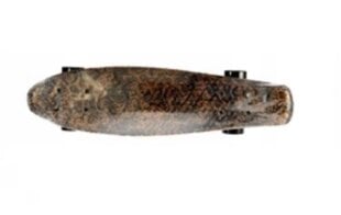 Скейтборд Fishboard Fish №3, 60 см цена и информация | Скейтборды | 220.lv