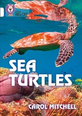 Sea Turtles: Band 10/White cena un informācija | Sociālo zinātņu grāmatas | 220.lv