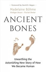 Ancient Bones: Unearthing the Astonishing New Story of How We Became Human cena un informācija | Sociālo zinātņu grāmatas | 220.lv