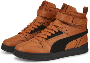 Мужские кроссовки Puma Rbd Game Wtr 387604 03/10, коричневые цена и информация | Кроссовки мужские | 220.lv