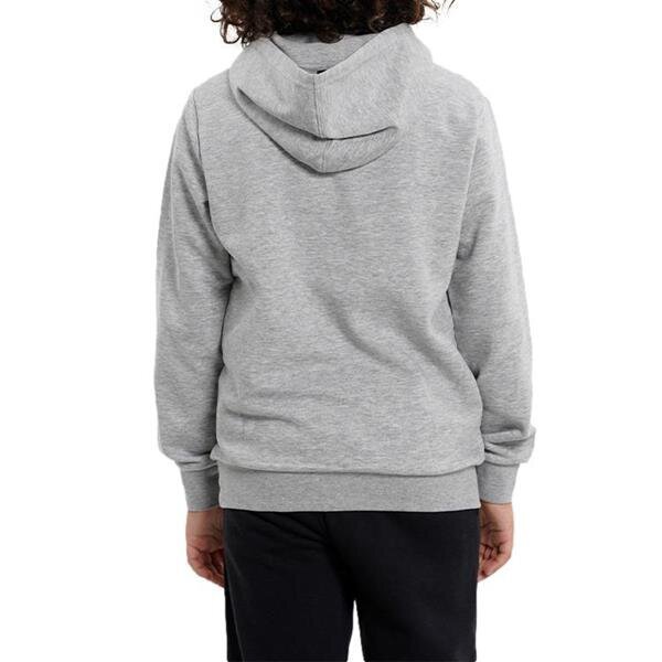 Džemperis champion hooded sweatshirt 306169em006 306169EM006 цена и информация | Zēnu jakas, džemperi, žaketes, vestes | 220.lv