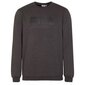 Džemperis fila barbian crew sweat fau009180029 FAU009180029 цена и информация | Vīriešu jakas | 220.lv