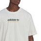 Adv mtn spr tee adidas originals vīriešiem white hf4773 HF4773 cena un informācija | Vīriešu T-krekli | 220.lv