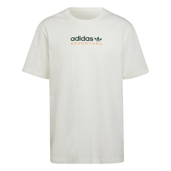 Adv mtn spr tee adidas originals vīriešiem white hf4773 HF4773 цена и информация | Vīriešu T-krekli | 220.lv