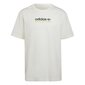 Adv mtn spr tee adidas originals vīriešiem white hf4773 HF4773 cena un informācija | Vīriešu T-krekli | 220.lv