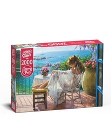 CherryPazzi puzle Beauty and Blue Sea 2000 det. цена и информация | Пазлы | 220.lv