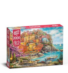 Puzle CherryPazzi Beauty and Blue Sea 2000 d. cena un informācija | Puzles, 3D puzles | 220.lv