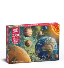 Puzle CherryPazzi Planet Earth in Galaxy 2000 d. cena un informācija | Puzles, 3D puzles | 220.lv