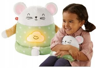 Интерактивная, успокаивающая игрушка «Мышонок», Fisher-Price цена и информация | Fisher Price Товары для детей и младенцев | 220.lv