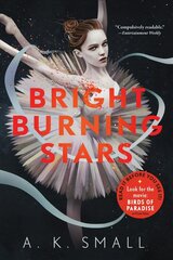 Bright Burning Stars цена и информация | Книги для подростков и молодежи | 220.lv