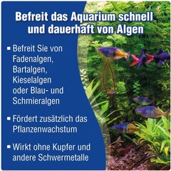 Aquarium aļģu-ex , 0,5 litri cena un informācija | Akvāriji un aprīkojums | 220.lv