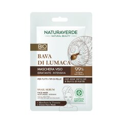 NATURAVERDE BIO mitrinoša sejas maska ​​ar serumu цена и информация | Маски для лица, патчи для глаз | 220.lv