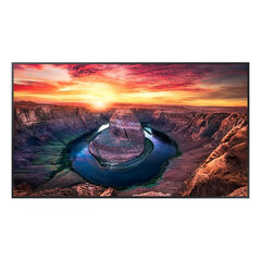 Монитор Videowall Samsung QM55B 55-дюймовый цена и информация | Мониторы | 220.lv