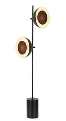 Mūsdienīga stāvlampa ar divām lampām cena un informācija | Stāvlampas | 220.lv