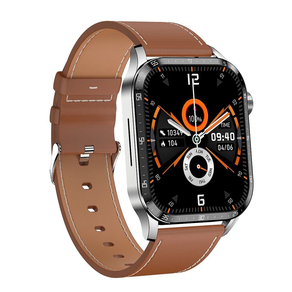 Microwear GT4 Silver/Brown цена и информация | Viedpulksteņi (smartwatch) | 220.lv