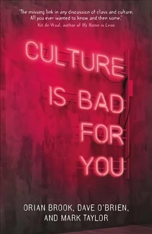 Culture is Bad for You: Inequality in the Cultural and Creative Industries цена и информация | Sociālo zinātņu grāmatas | 220.lv