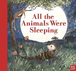 All the Animals Were Sleeping cena un informācija | Grāmatas mazuļiem | 220.lv