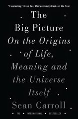 Big Picture: On the Origins of Life, Meaning, and the Universe Itself цена и информация | Книги по экономике | 220.lv