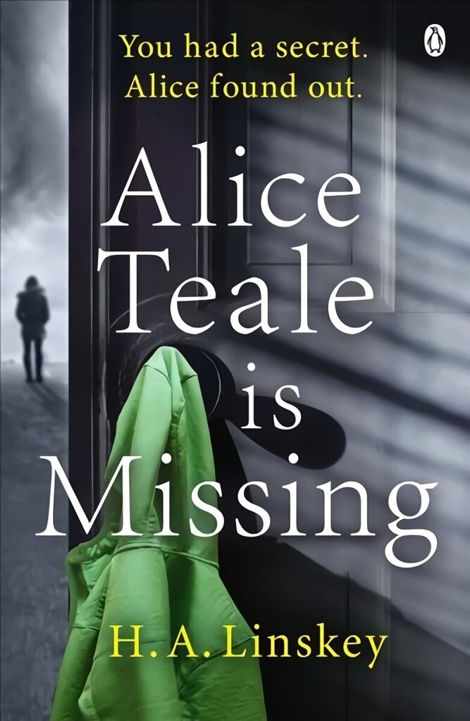 Alice Teale is Missing: The gripping thriller packed with twists цена и информация | Fantāzija, fantastikas grāmatas | 220.lv