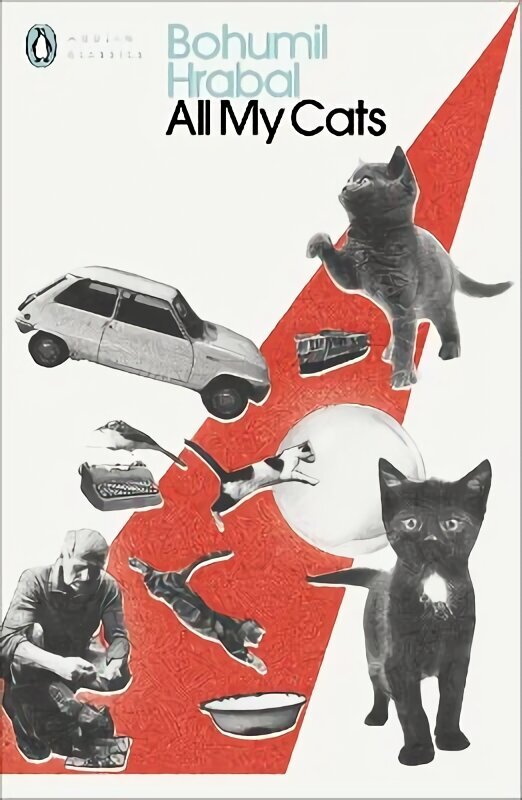 All My Cats cena un informācija | Fantāzija, fantastikas grāmatas | 220.lv