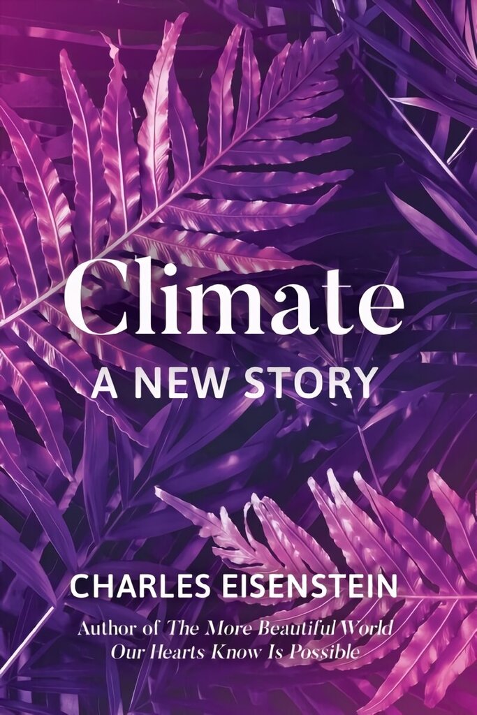 Climate--A New Story: A New Story цена и информация | Sociālo zinātņu grāmatas | 220.lv