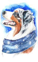 Dimantu mozaīkas komplekts uz rāmja TM Varvikas - Winter dog LC014e 20x30 cm цена и информация | Алмазная мозаика | 220.lv
