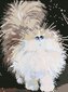 Dimantu mozaīkas komplekts uz rāmja TM Varvikas - Cute Fluffy Cat LE085e 30x40 cm cena un informācija | Dimantu mozaīkas | 220.lv