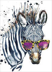 Алмазная мозаика 30x40 cm.  "Zebra with Glasses" цена и информация | Алмазная мозаика | 220.lv