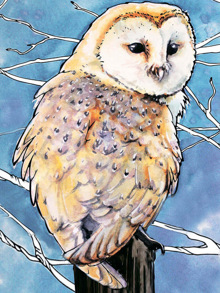 Dimantu mozaīkas komplekts uz rāmja TM Varvikas - Barn Owl LE120e 30x40 cm цена и информация | Dimantu mozaīkas | 220.lv