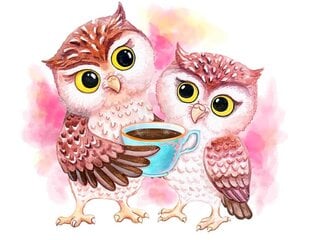Алмазная мозаика 30x40 cm.  "Cute Owls" цена и информация | Алмазная мозаика | 220.lv