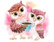 Dimantu mozaīkas komplekts uz rāmja TM Varvikas - Cute Owls LE121e 30x40 cm cena un informācija | Dimantu mozaīkas | 220.lv