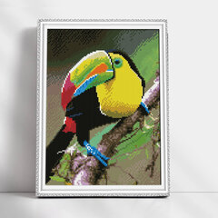 Dimantu mozaīkas komplekts uz rāmja TM Varvikas - Rainbow toucan LE129e 30x40 cm cena un informācija | Dimantu mozaīkas | 220.lv