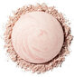 Izgaismotājs Catrice Glow Lover Brightener, 8 g, 010 Glowing Peony #cfb1ae цена и информация | Bronzeri, vaigu sārtumi | 220.lv