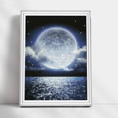 Dimantu mozaīkas komplekts uz rāmja TM Varvikas - Charming full moon LE132e 30x40 cm cena un informācija | Dimantu mozaīkas | 220.lv