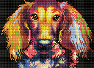 Алмазная мозаика 30x40 cm.  "Through the eyes of a dachshund" цена и информация | Алмазная мозаика | 220.lv