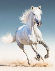 Dimantu mozaīkas komplekts uz rāmja TM Varvikas - White Horse LG192e 40x50 cm цена и информация | Алмазная мозаика | 220.lv