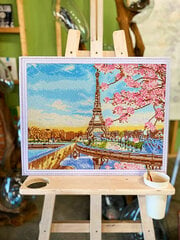 Алмазная мозаика 40x50 cm.  "Paris in Blossom" цена и информация | Алмазная мозаика | 220.lv