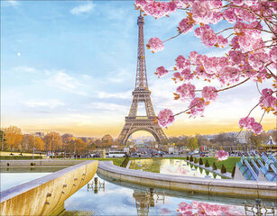 Алмазная мозаика 40x50 cm.  "Paris in Blossom" цена и информация | Алмазная мозаика | 220.lv