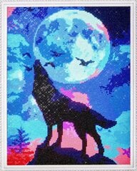 Dimantu mozaīkas komplekts uz rāmja TM Varvikas - Full moon LG230e 40x50 cm цена и информация | Алмазная мозаика | 220.lv