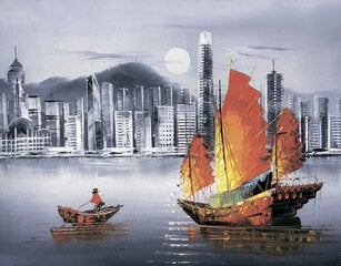 Алмазная мозаика 40x50 cm.  "Hong Kong by Night" цена и информация | Алмазная мозаика | 220.lv