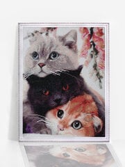 Алмазная мозаика 40x50 cm.  "Three Kittens" цена и информация | Алмазная мозаика | 220.lv