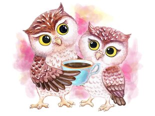 Glezna pēc numuriem TM Varvikas - Cute Owls ME1125e 30x40 cm cena un informācija | Gleznas pēc numuriem | 220.lv
