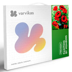Glezna pēc numuriem TM Varvikas - Poppies Bouquet MG2142e 40x50 cm цена и информация | Живопись по номерам | 220.lv